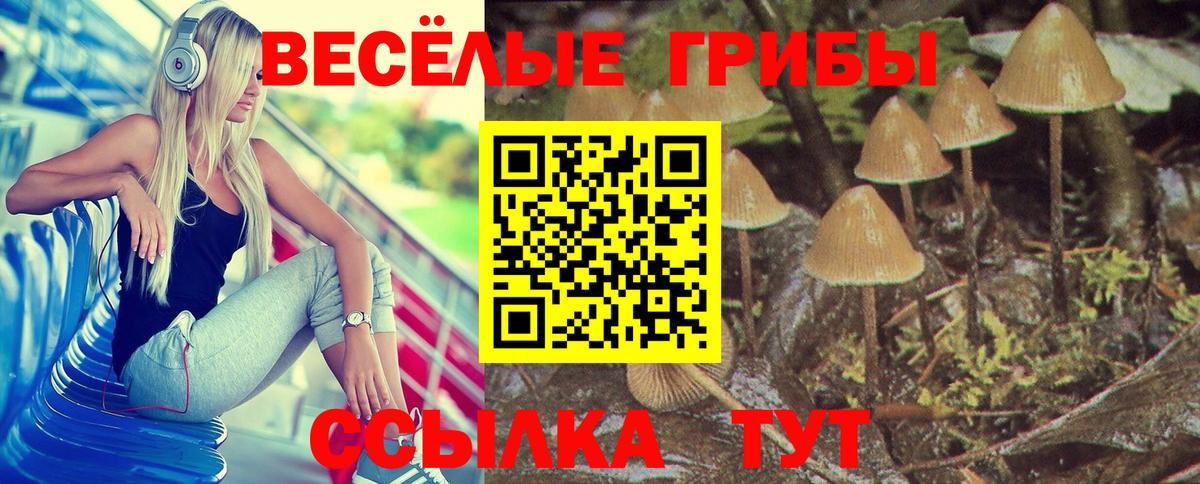 Галлюциногенные грибы MAGIC MUSHROOMS  Вход с VPN  Псилоцибиновые грибы MAGIC MUSHROOMS  Дербент 