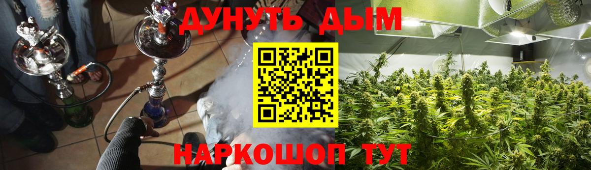 Канабис конопля Дербент